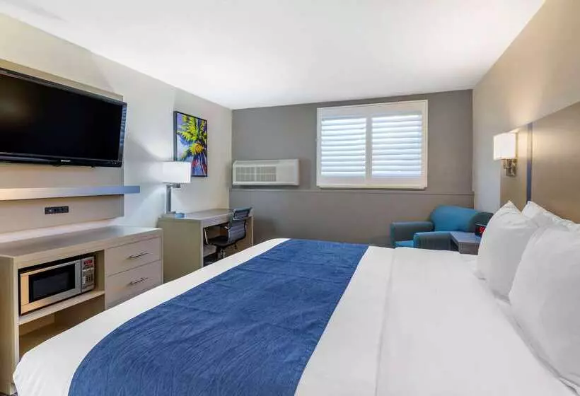 ホテル Comfort Inn San Diego Miramar