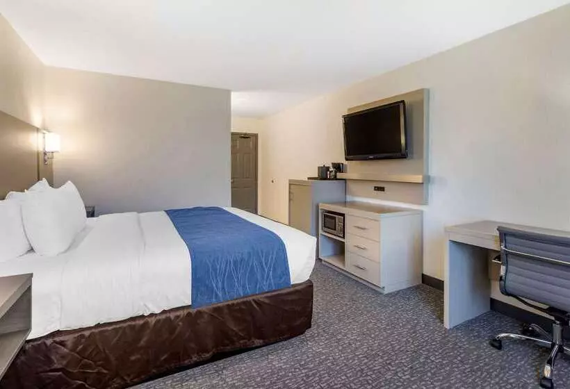 ホテル Comfort Inn San Diego Miramar