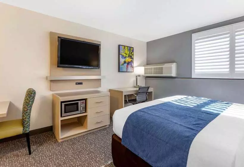 ホテル Comfort Inn San Diego Miramar