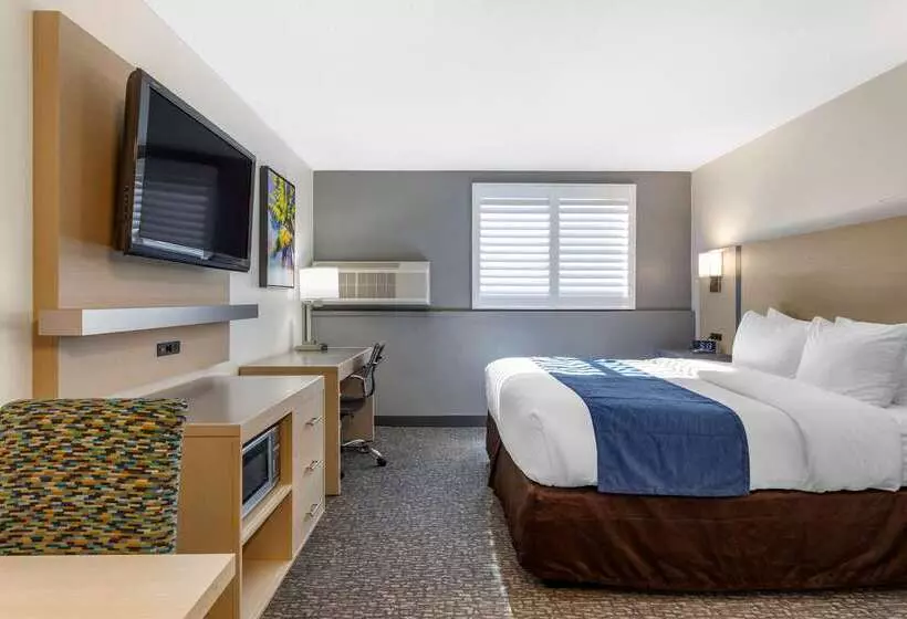ホテル Comfort Inn San Diego Miramar