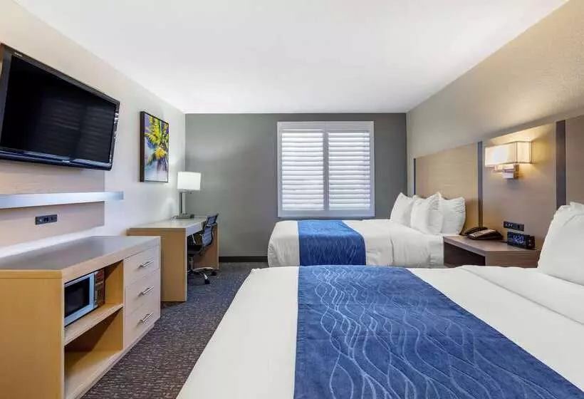 ホテル Comfort Inn San Diego Miramar