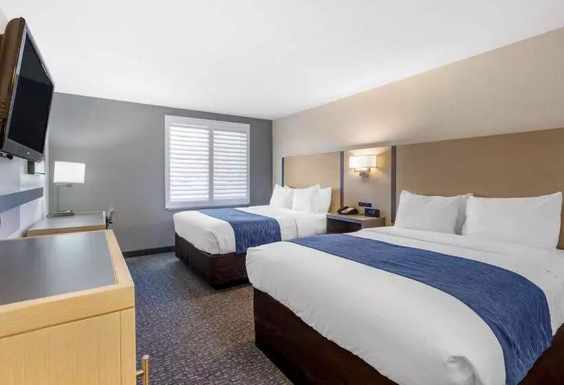 ホテル Comfort Inn San Diego Miramar