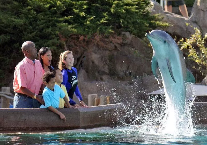 Courtyard By Marriott San Diego Mission Valley/hotel Circle