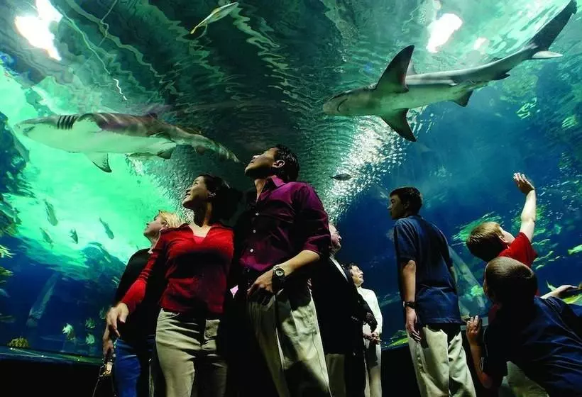 Otel Holiday Inn Cincinnati Riverfront, An Ihg