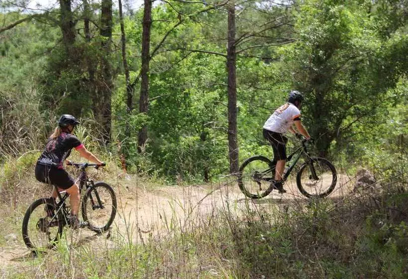 Otel Howard Johnson By Wyndham Ocala Fl I 75