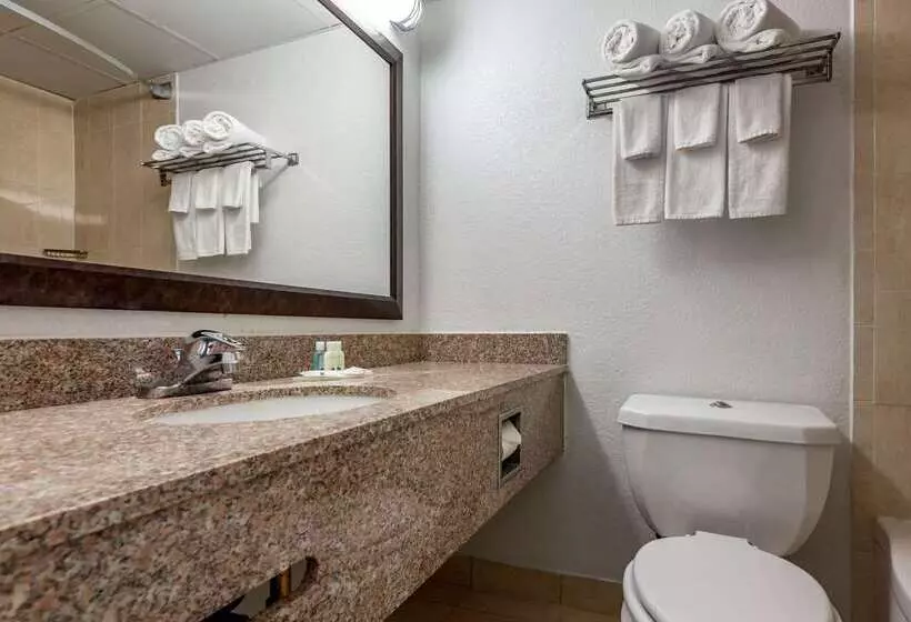 酒店 Quality Inn & Suites Vestal Binghamton Near University