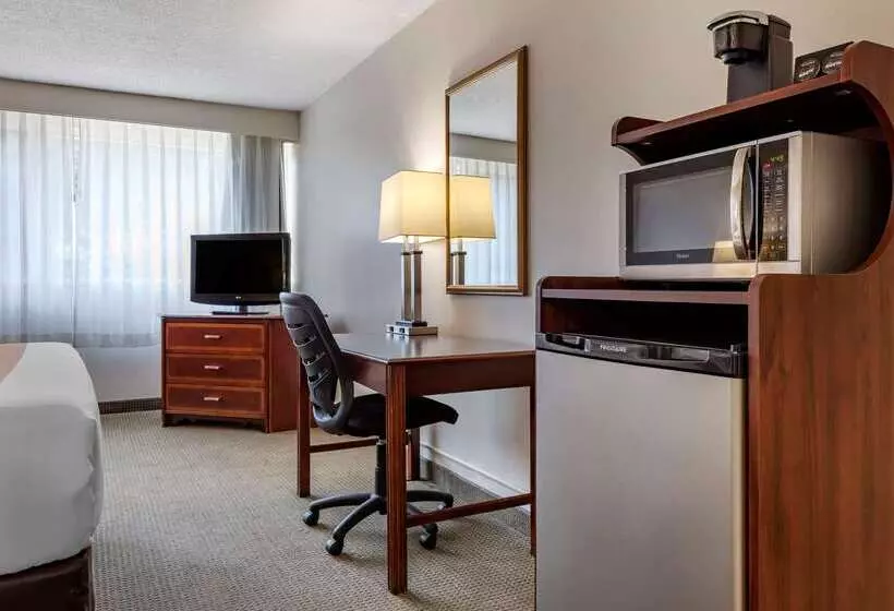 酒店 Quality Inn & Suites Vestal Binghamton Near University