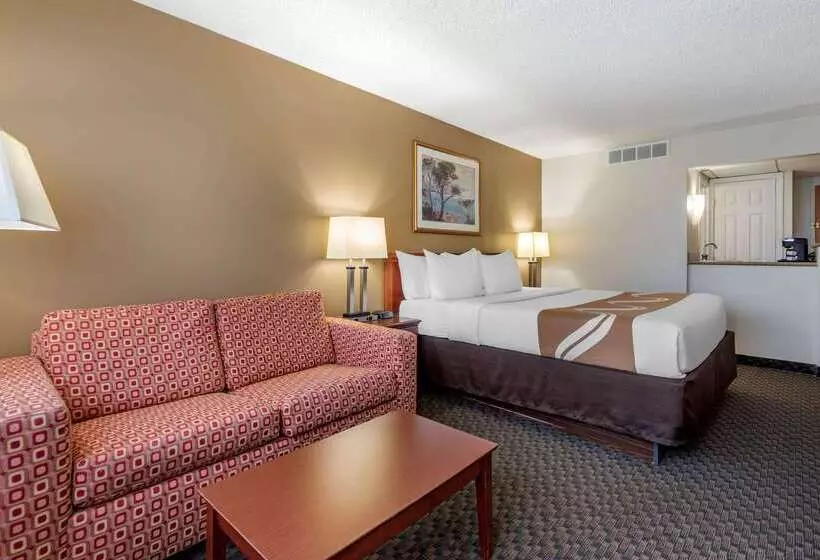 酒店 Quality Inn & Suites Vestal Binghamton Near University