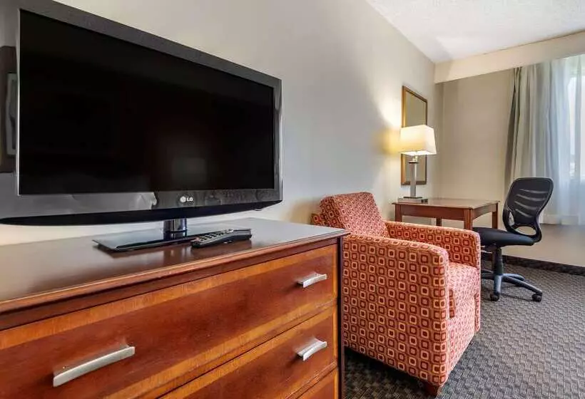 酒店 Quality Inn & Suites Vestal Binghamton Near University