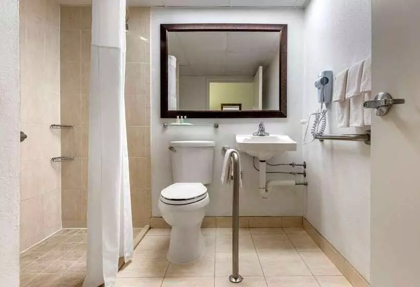 酒店 Quality Inn & Suites Vestal Binghamton Near University