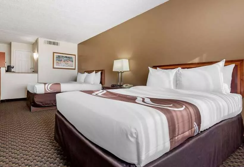 酒店 Quality Inn & Suites Vestal Binghamton Near University