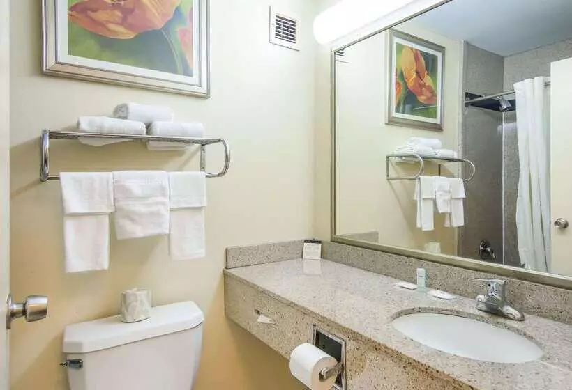 호텔 Suburban Studios Chester I95