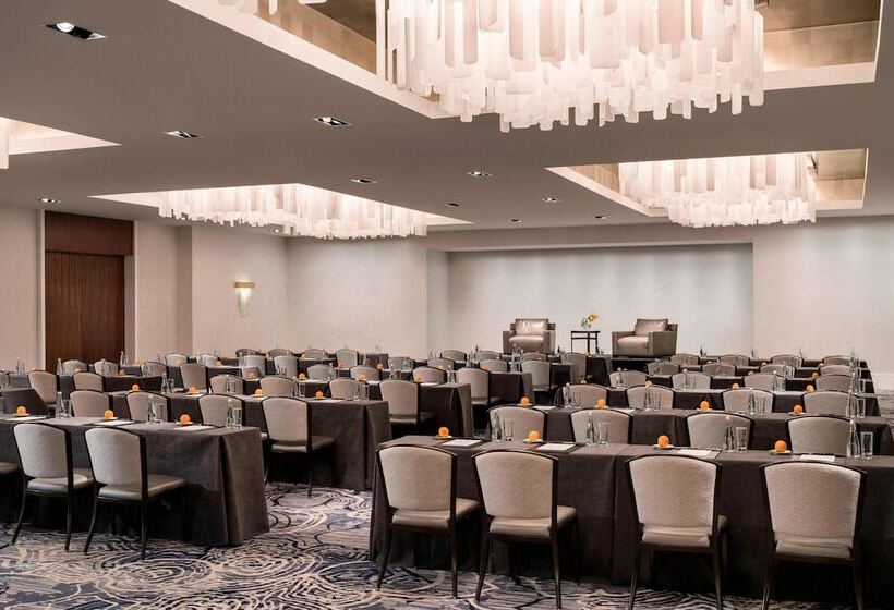 فندق The Ritzcarlton, Chicago