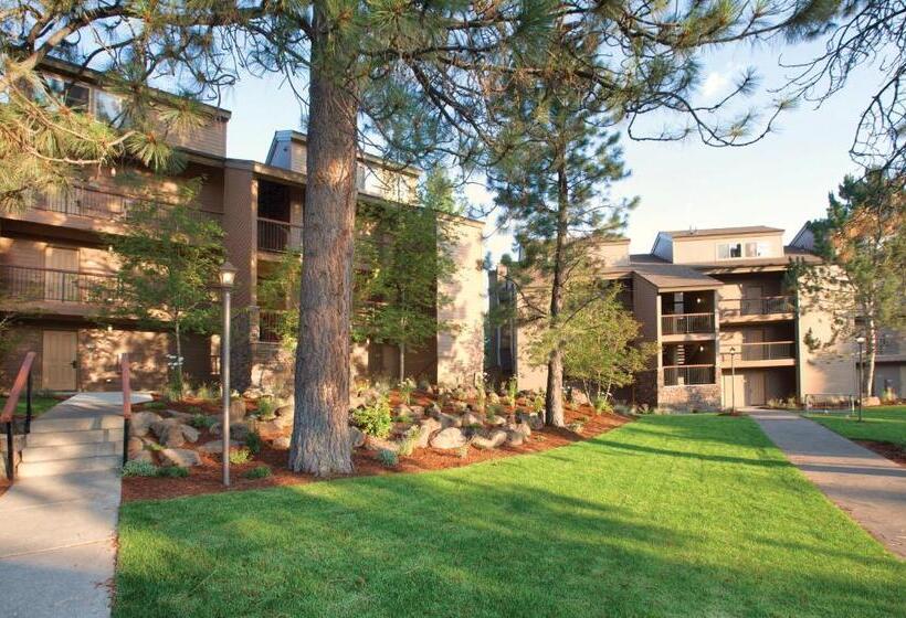 Otel Seventh Mountain Resort