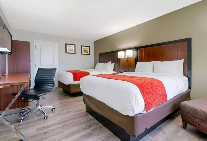 酒店 Comfort Inn