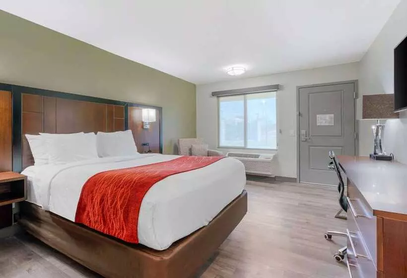 酒店 Comfort Inn