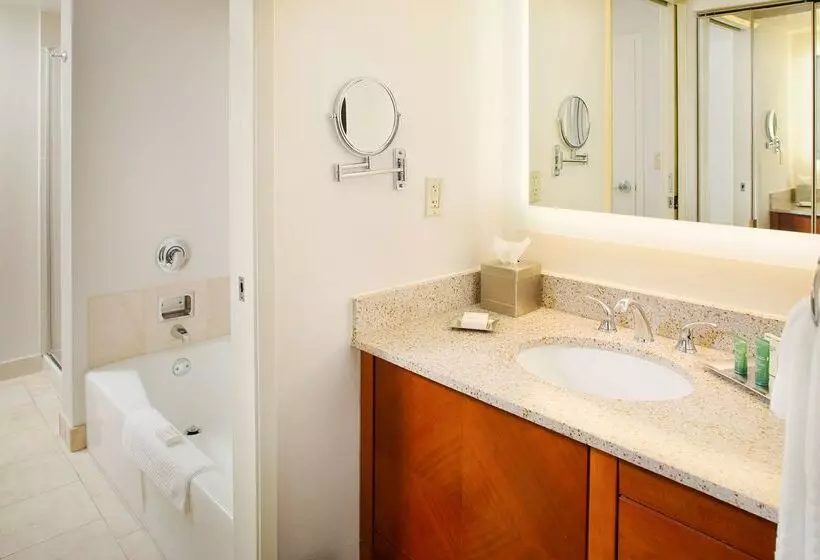 ホテル Wyndham Atlanta Perimeter