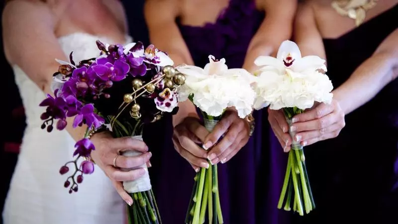 Kimpton Hotel Enso, An Ihg