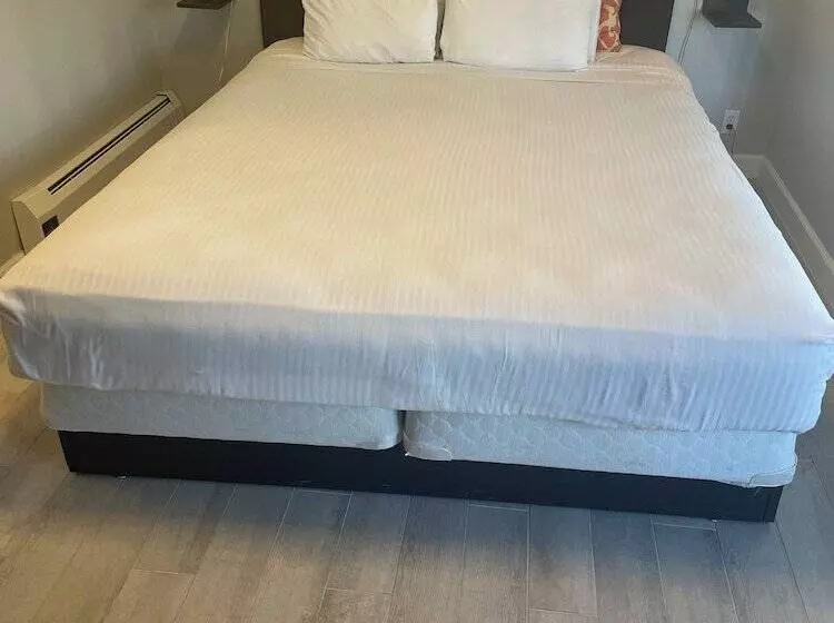 Отель Marina Inn