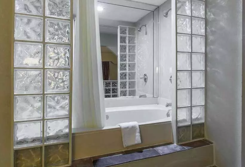 Otel Rodeway Inn & Suites