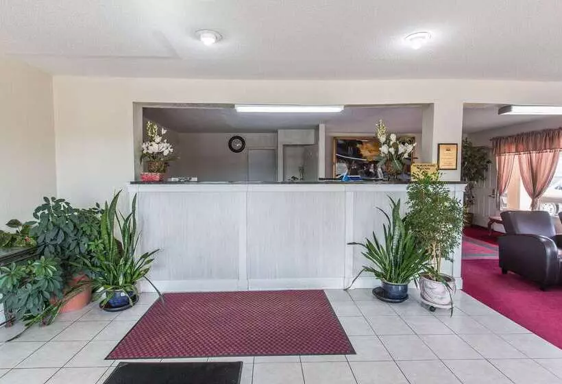 Otel Rodeway Inn & Suites