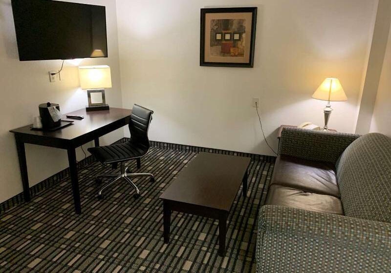 Surestay Plus Hotel By Best Western Lubbock Medical Center