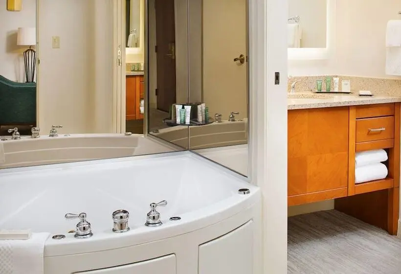 ホテル Wyndham Atlanta Perimeter