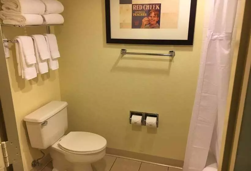 فندق Sonesta Gwinnett Place Atlanta