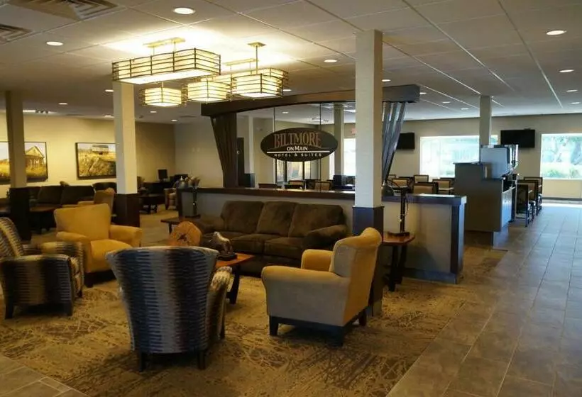 The Biltmore Hotel & Suites Main Avenue