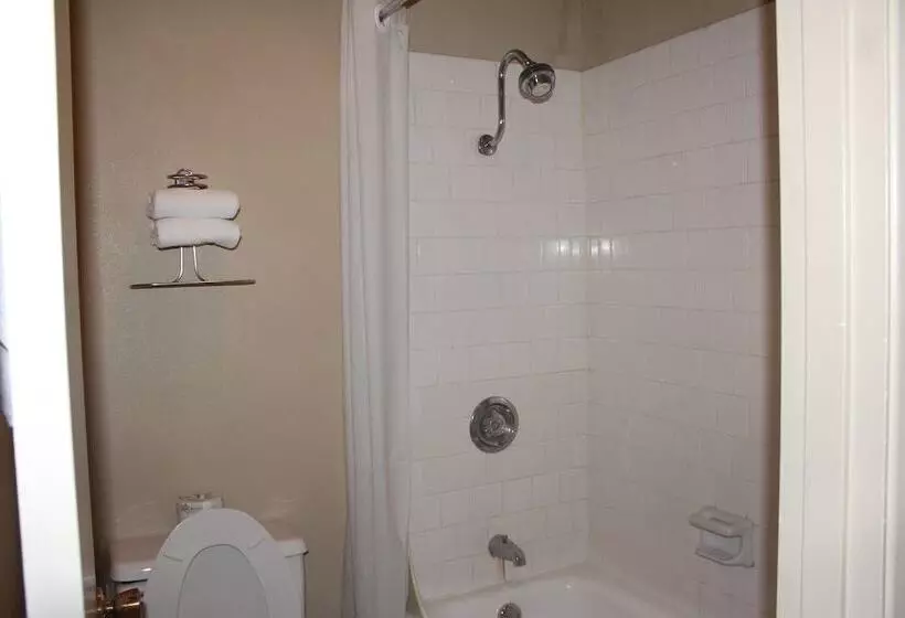 هتل Cedars Inn Lewiston