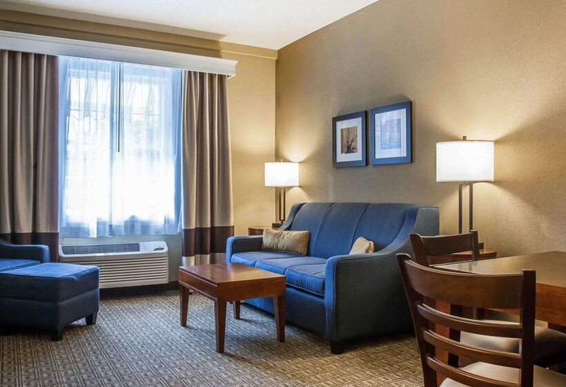 בית מלון כפרי Comfort Inn & Suites Sturbridgebrimfield