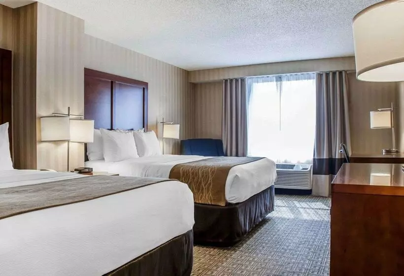 ホテル Comfort Inn & Suites Sturbridgebrimfield
