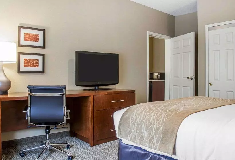 ホテル Comfort Inn & Suites Sturbridgebrimfield