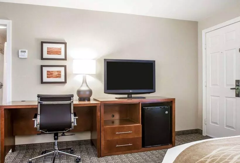 ホテル Comfort Inn & Suites Sturbridgebrimfield