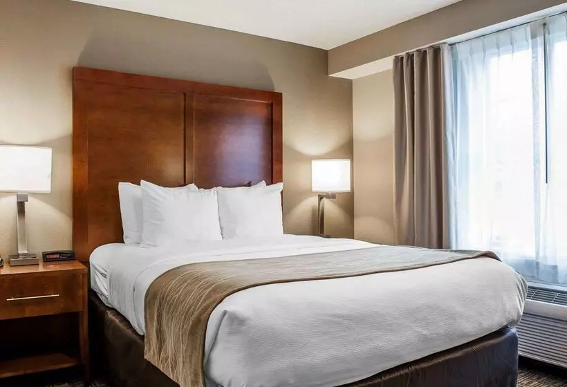 ホテル Comfort Inn & Suites Sturbridgebrimfield