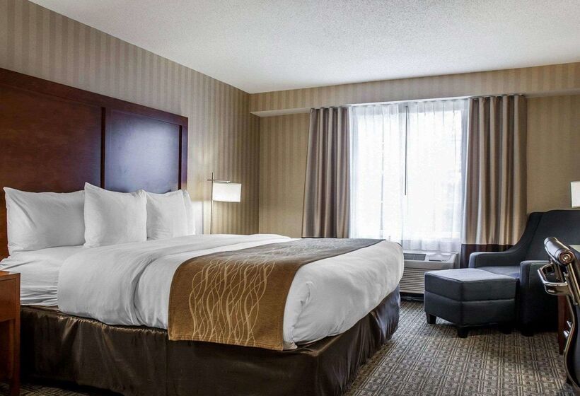 בית מלון כפרי Comfort Inn & Suites Sturbridgebrimfield