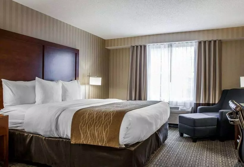 ホテル Comfort Inn & Suites Sturbridgebrimfield