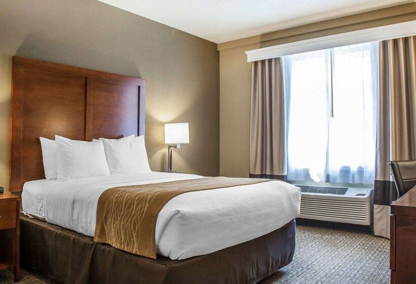 בית מלון כפרי Comfort Inn & Suites Sturbridgebrimfield