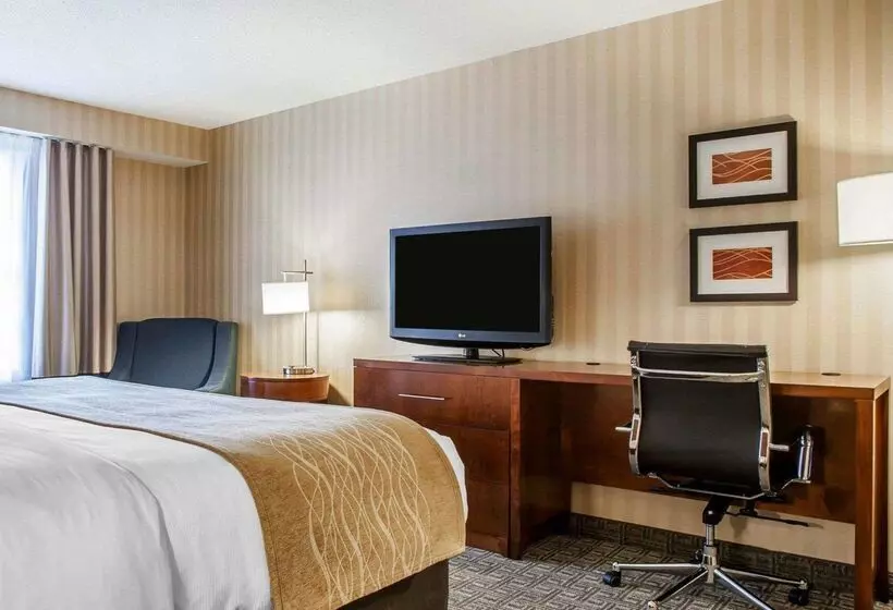 ホテル Comfort Inn & Suites Sturbridgebrimfield