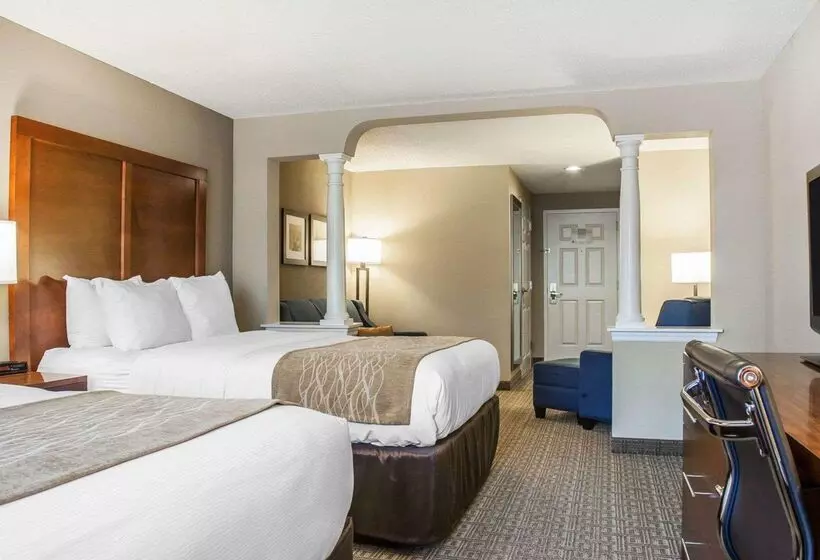 ホテル Comfort Inn & Suites Sturbridgebrimfield
