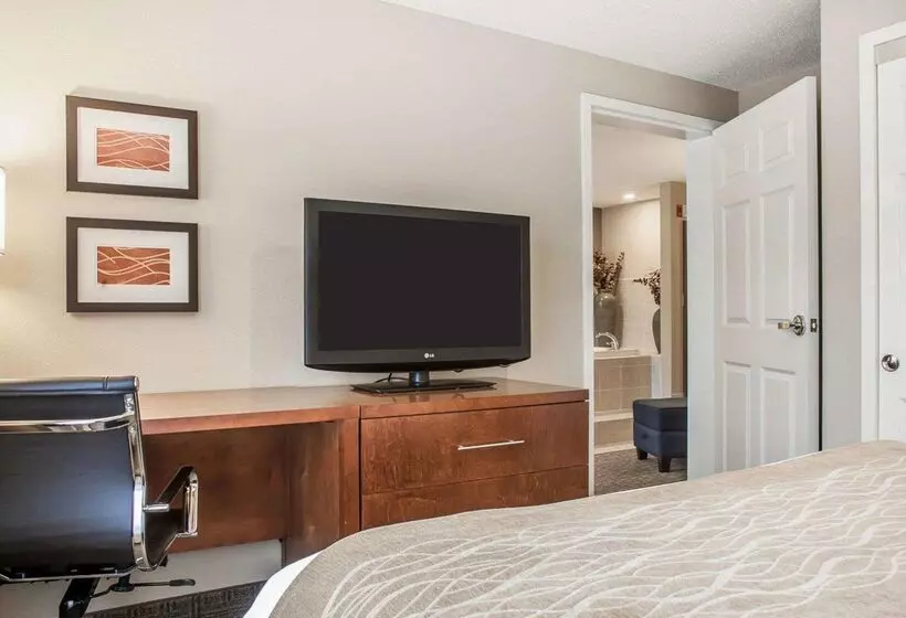 ホテル Comfort Inn & Suites Sturbridgebrimfield