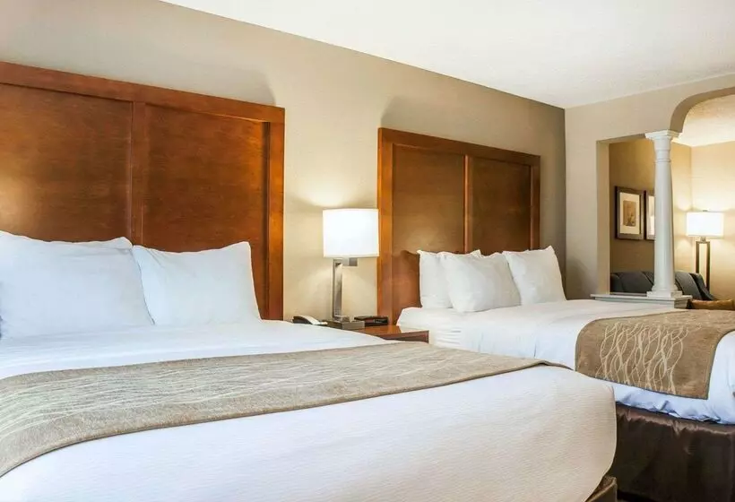 ホテル Comfort Inn & Suites Sturbridgebrimfield