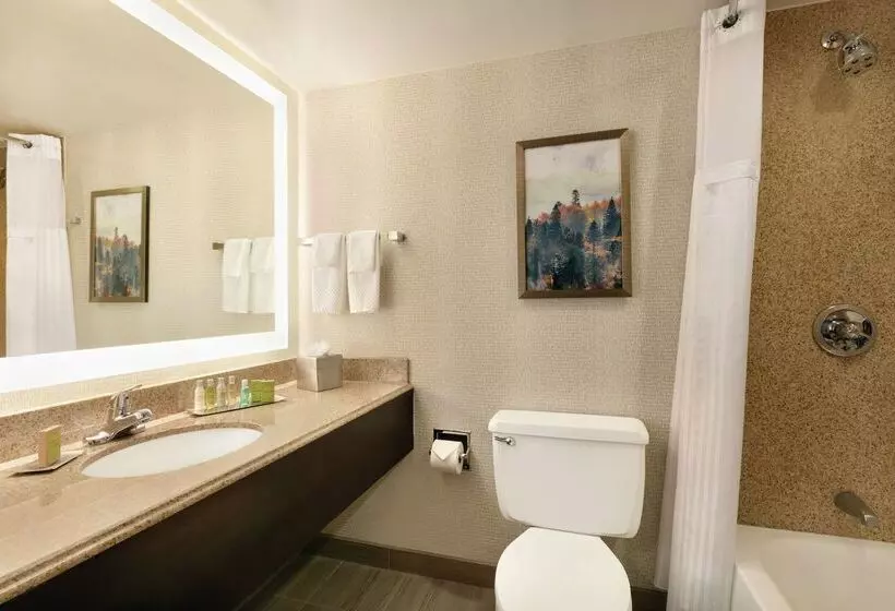 Hotel Doubletree By Hilton Atlanta   Northlake