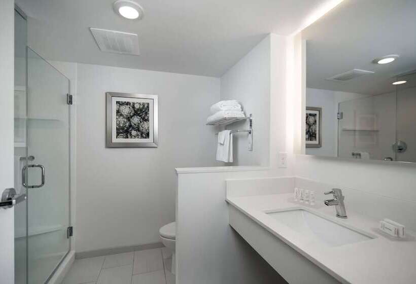 هتل Fairfield Inn & Suites Fort Worth Downtown/convention Center