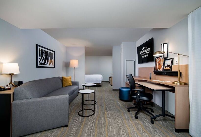 هتل Fairfield Inn & Suites Fort Worth Downtown/convention Center