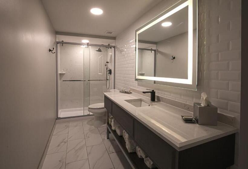 ホテル Indigo Birmingham Five Points S Uab, An Ihg