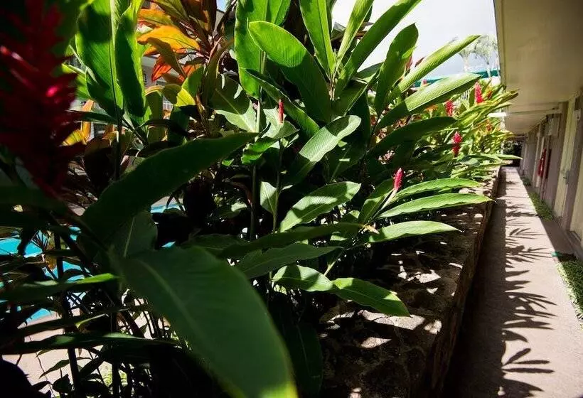 Отель Pacific Marina Inn