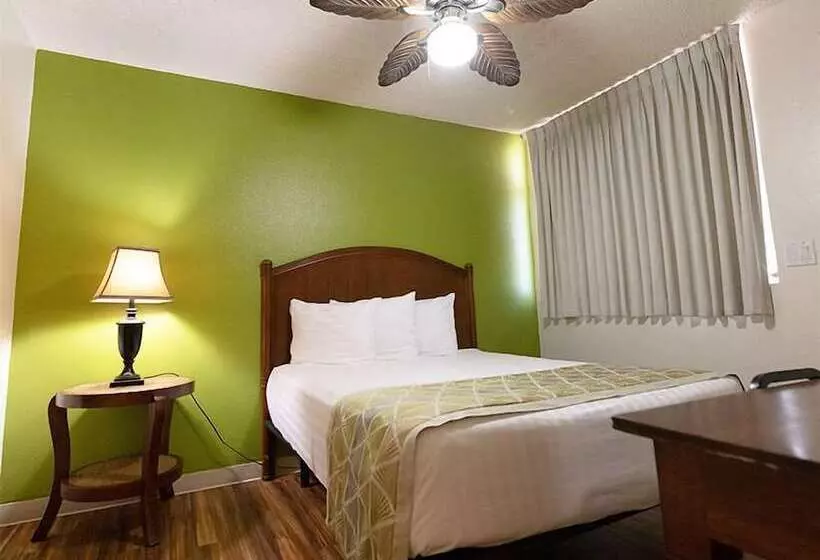 Отель Pacific Marina Inn