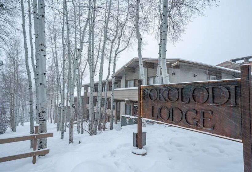 فندق Pokolodi Lodge