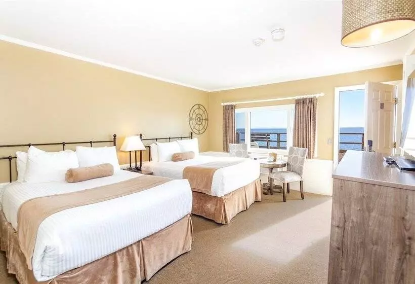 酒店 Provincetown Inn